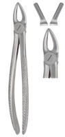 Tooth Forceps for upper bicuspids and molars